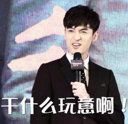 胡歌的表情包图片